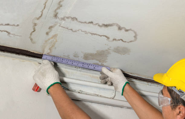 Reliable Flood Cleanup contractor in Sumner, MI by Water Damage Irwin